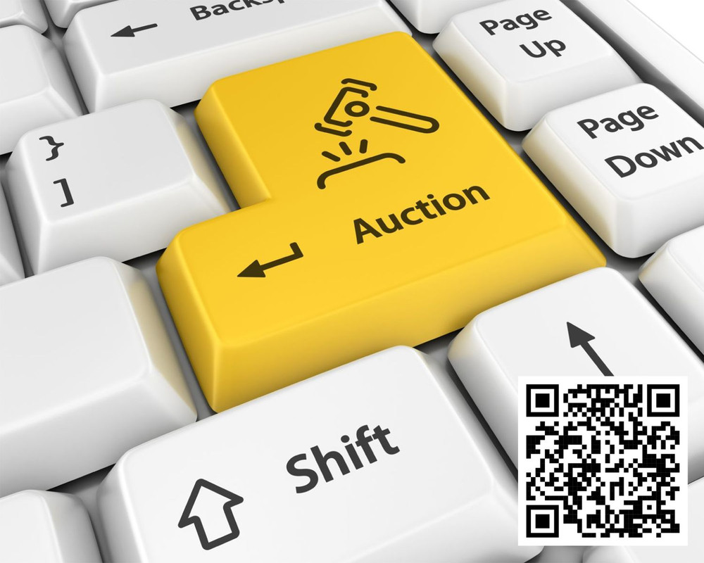 Strategies For Setting The Right Bidding Limits In Online Auctions