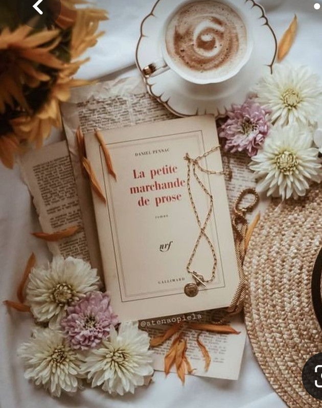 Screenshot_20230309_225700_Pinterest