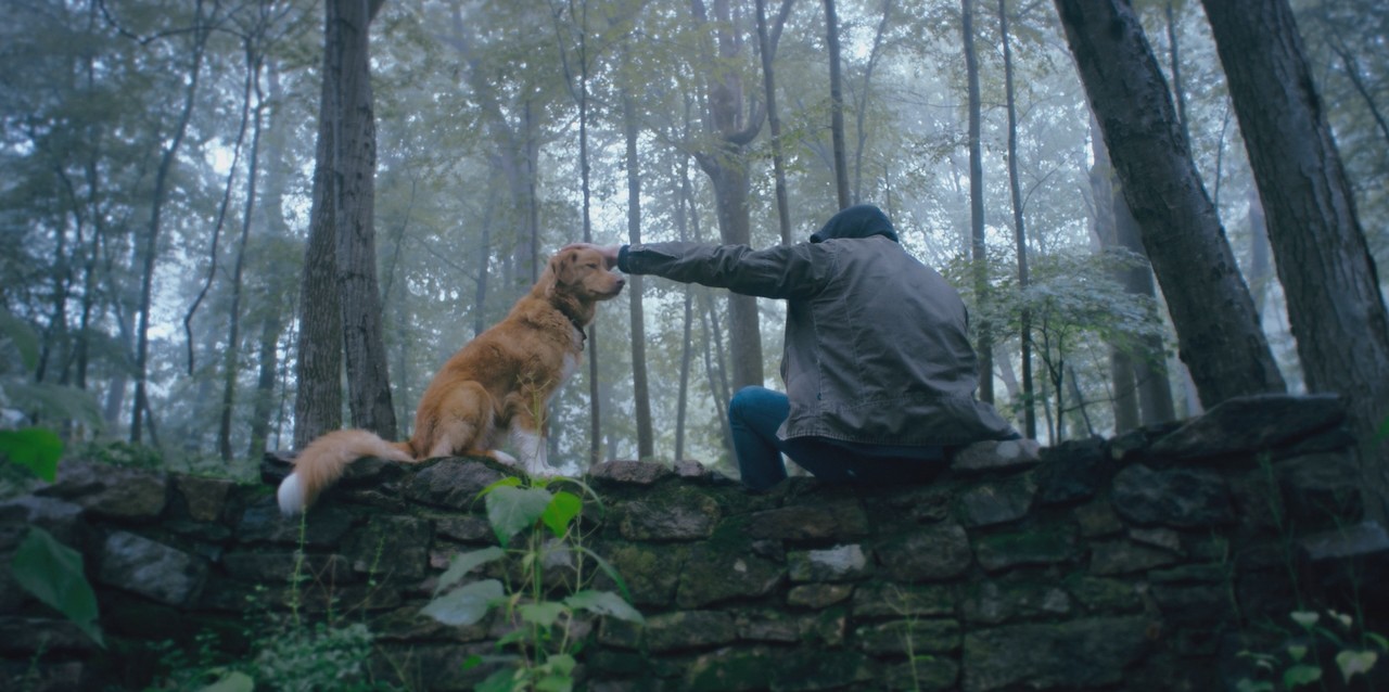 Good Boy (2025) mkv HD 720p E AC3 i TA DTS ENG x264 FHC mkv snapshot 00 19 02 208