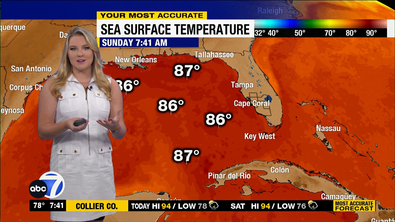 More in the Morning Weekend 7 Sunday_20230827_12001300.ts_snapshot_00.42.30.618