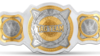 WWE-Womens-Tag-Team-Championship.png