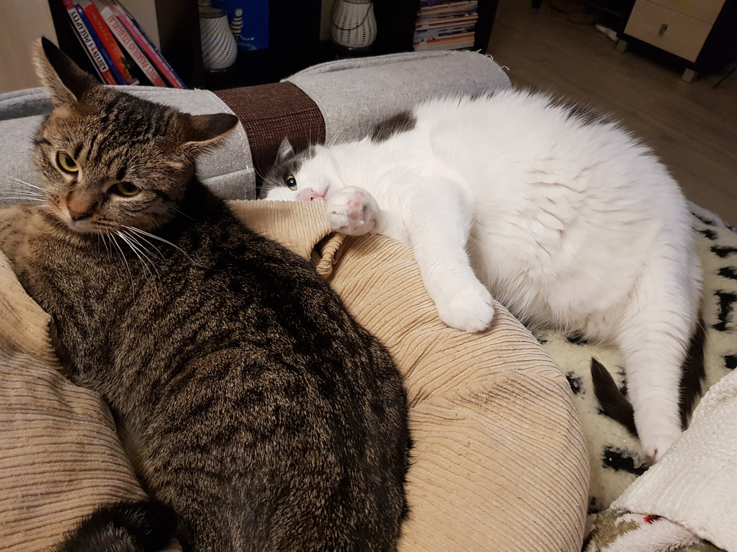 20190220-203440.jpg