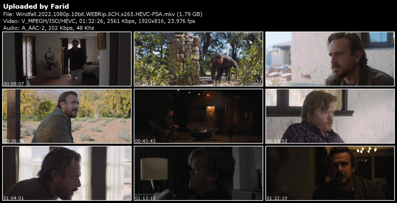 Windfall-2022-1080p-10bit-WEBRip-6-CH-x265-HEVC-PSA.jpg
