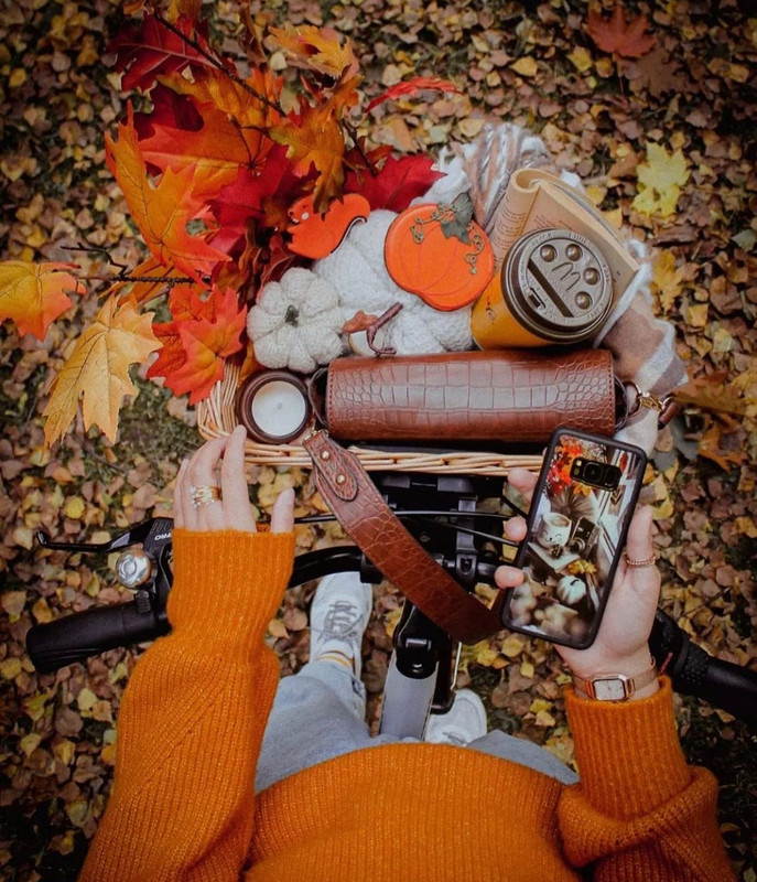 Screenshot_20231210_174316_Instagram