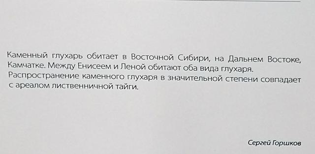 https://i.postimg.cc/Kv4JFHhs/199-IMG-20190127-115537.jpg