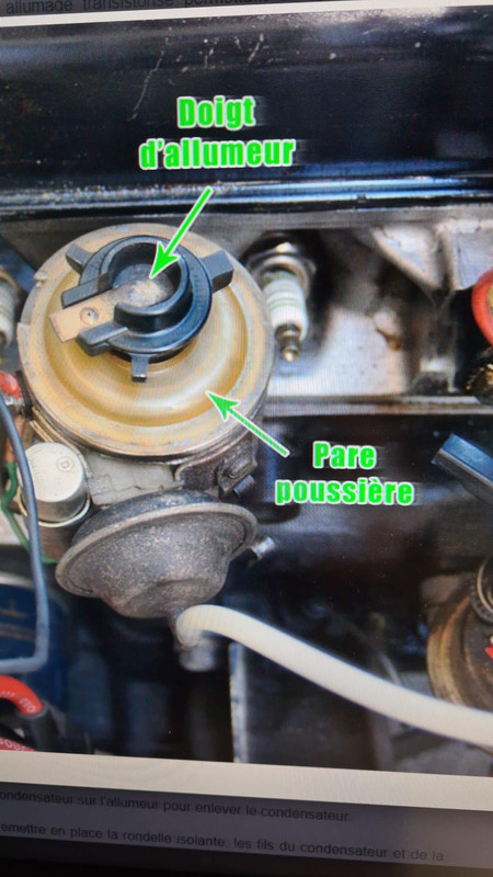 342693141_940849353864309_2279977031390764914_n