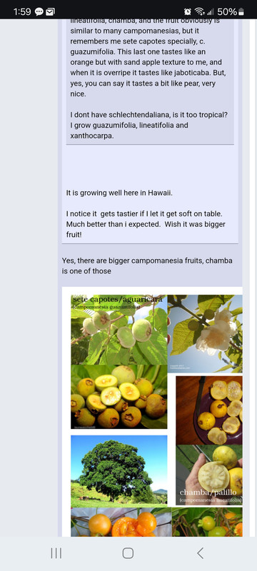 Screenshot_20250327_135926_Chrome