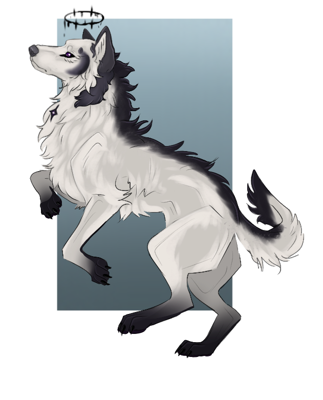 IMG-4030.png