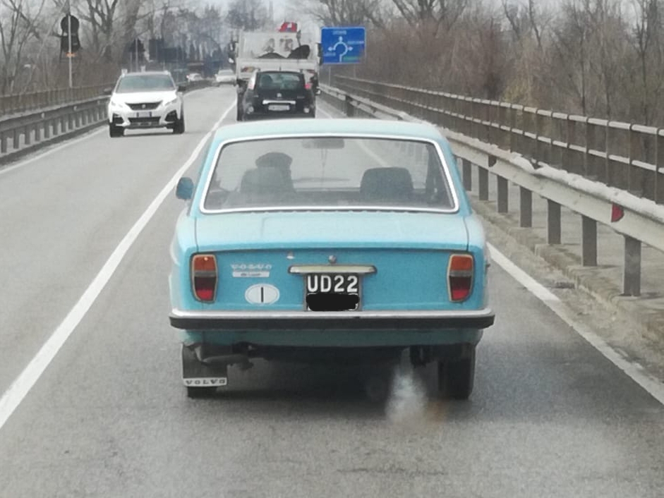 i.postimg.cc/Kv57XJN7/20190305-222213.jpg