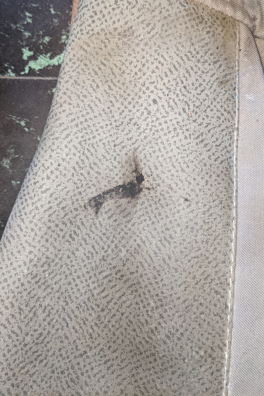 PXL_20211023_154503371