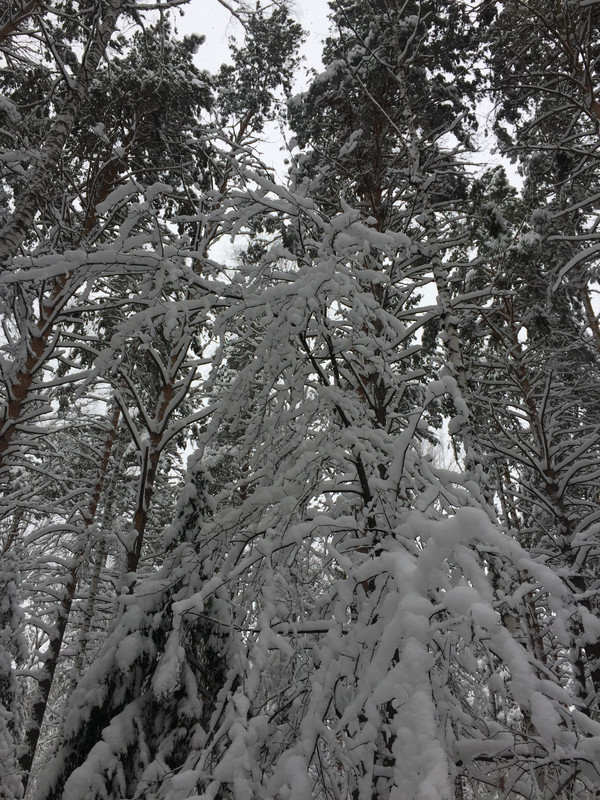 05E46D0D-D120-497A-AE76-DDEDD9A039F8