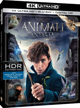 Animali Fantastici E Dove Trovarli (2016) Full Blu Ray UHD 4K ITA DTS HD MA ENG TrueHD+AC3 Subs