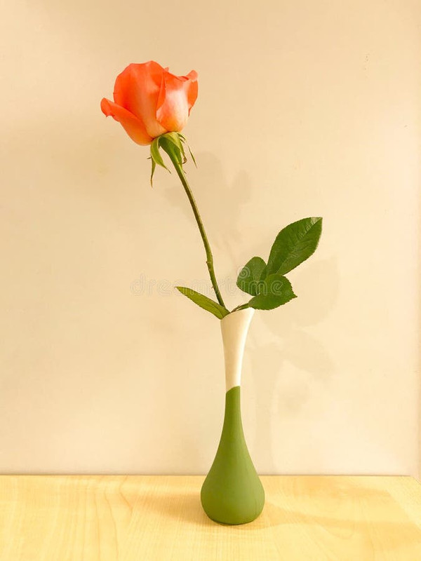 single-orange-rose-white-green-vase-vintage-pastel-tone-red-rose-green-vase-pastel-tone-126280295