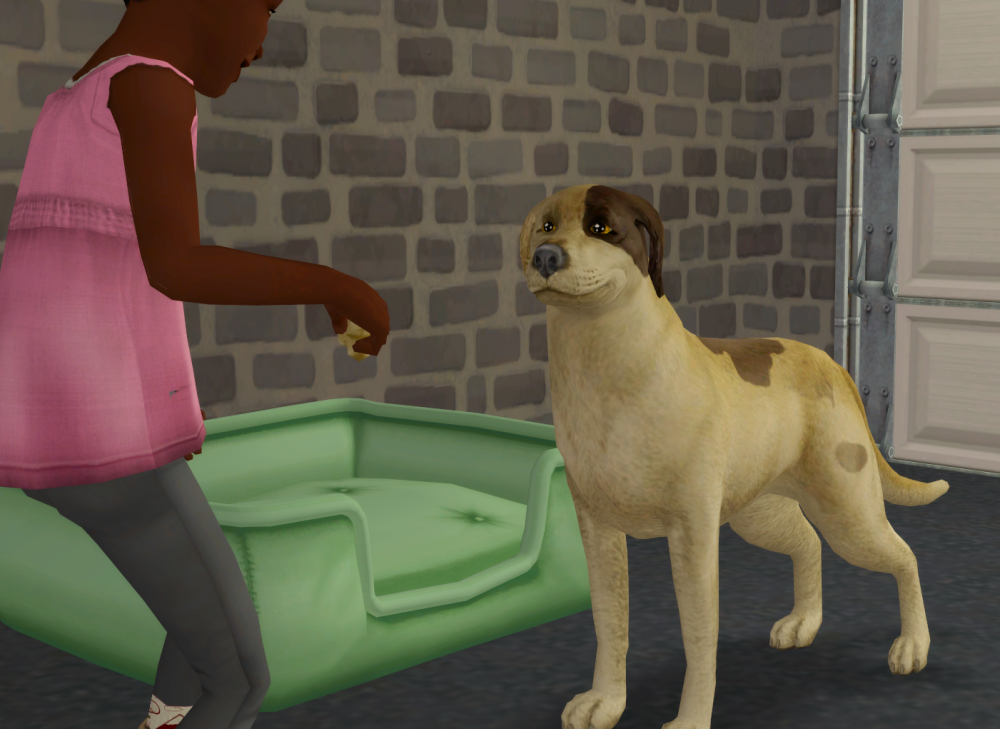 Sims2-EP9-RPC-2021-08-29-21-14-11-34