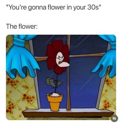 32th.jpg