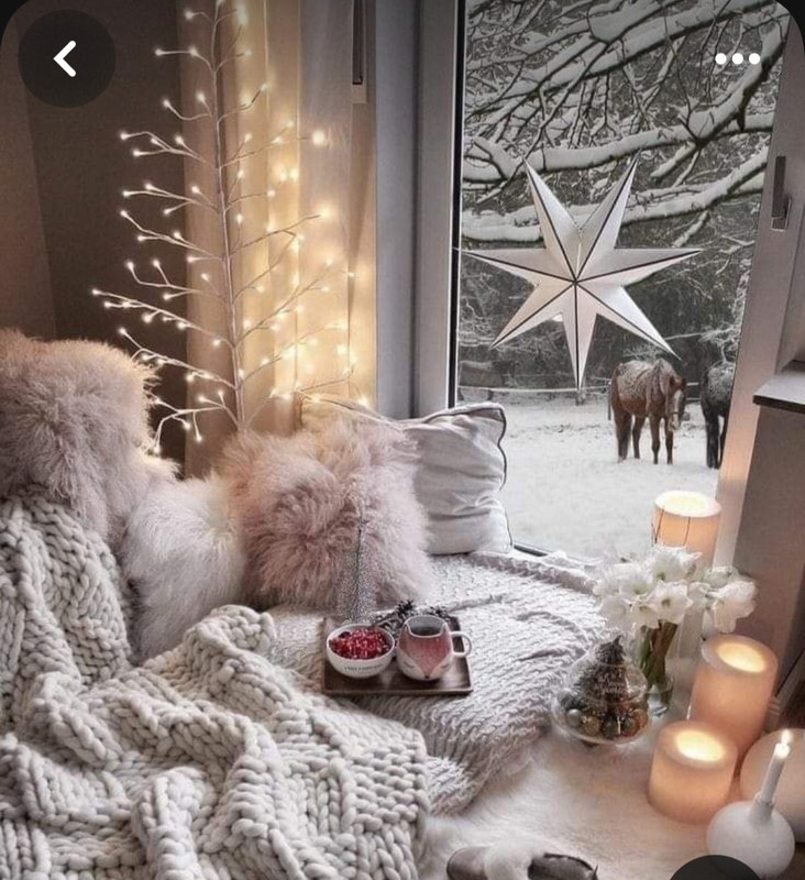 Screenshot_20231125_214526_Pinterest