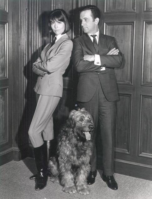 Barbara_Feldon_a93