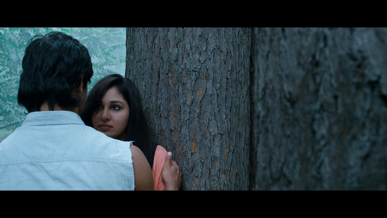 vlcsnap 2026 02 27 19h24m24s770