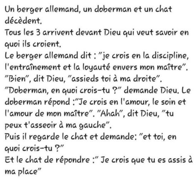 dieu.jpg