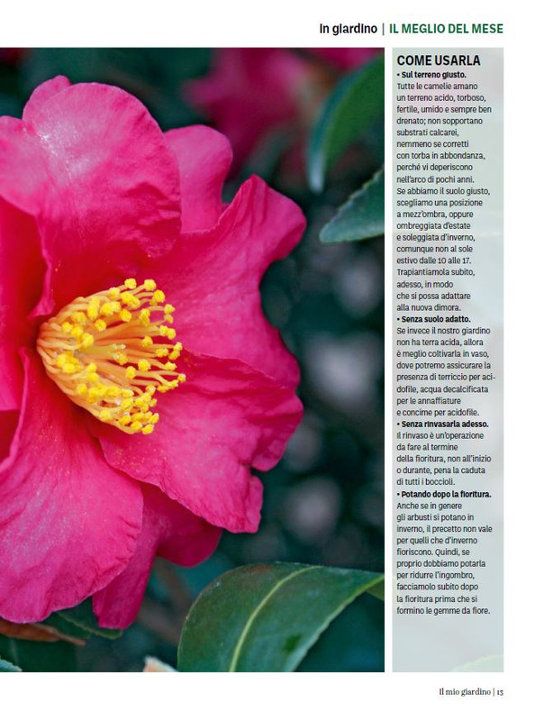 Il Mio Giar Ott-Nov 2023 (2)