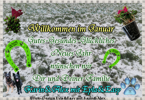 An den Beitrag angehängtes Bild: https://i.postimg.cc/Kv6PFCKp/GB-Gutes-Neues-Jahr-2025.gif