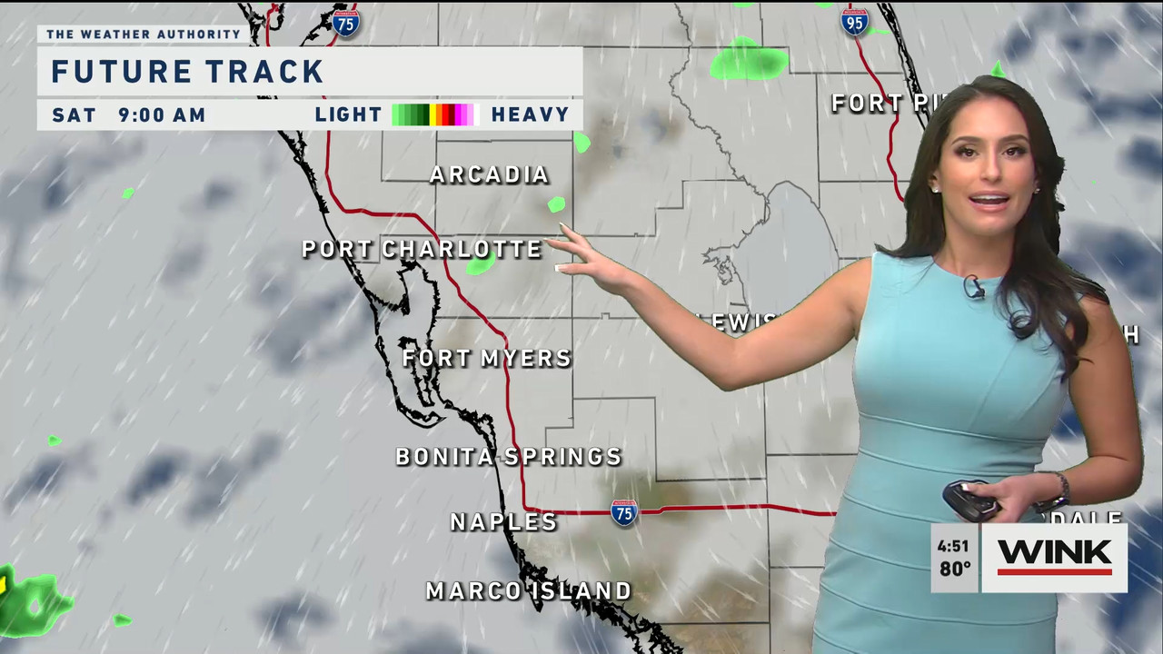 01.21 - 21.00.00 - WINK News at 4 00 p.m._001.ts_snapshot_06.52.978