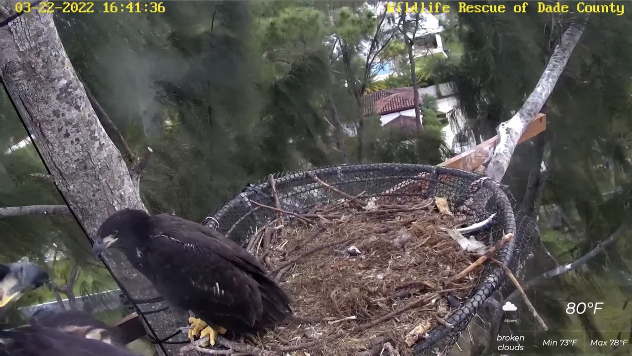 DE87F451-E9E0-4C07-8F2A-54F107FBD3F1