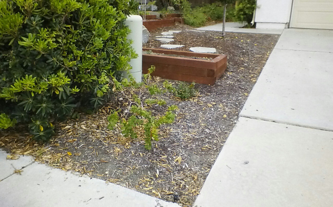 KINDLE_CAMERA_1404126201000