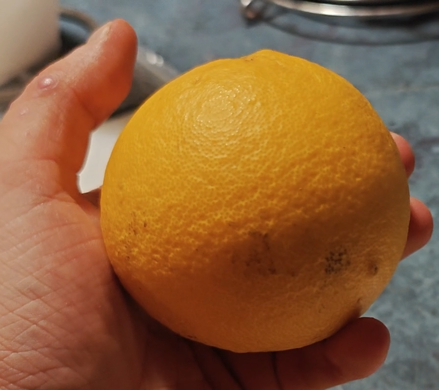 Citrus Morton whole