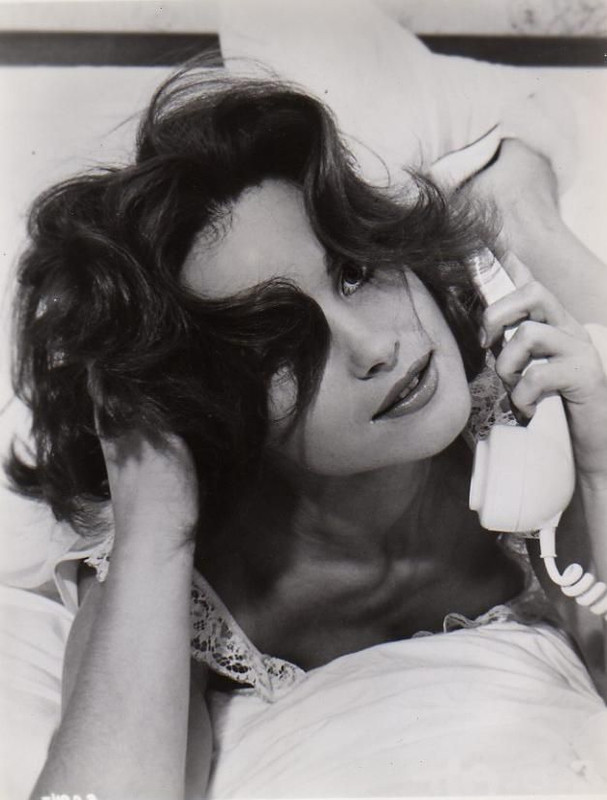 shirley_ann_field_a73