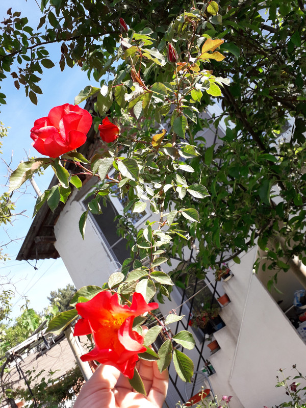 20190430_084736
