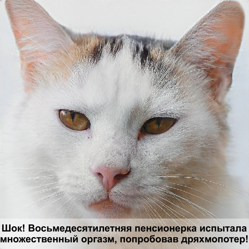 породы кошек тигрового окраса