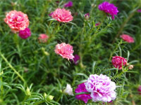 [Image: 7203698524_066ccfd942_b.jpg]