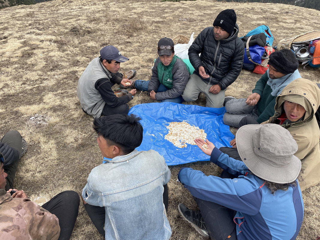 8iVwfH sQ3WnLNLa7VHsQw