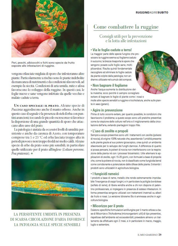 il mio Giar Feb Mar 2026 (10)