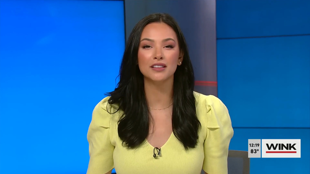 03.29 - 17.00.00 - The Wink Noon News  ᴺᵉʷ. Midday News Update.-1.mp4_snapshot_25.03.671