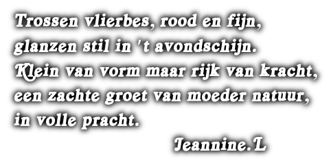 cooltext500508740579791