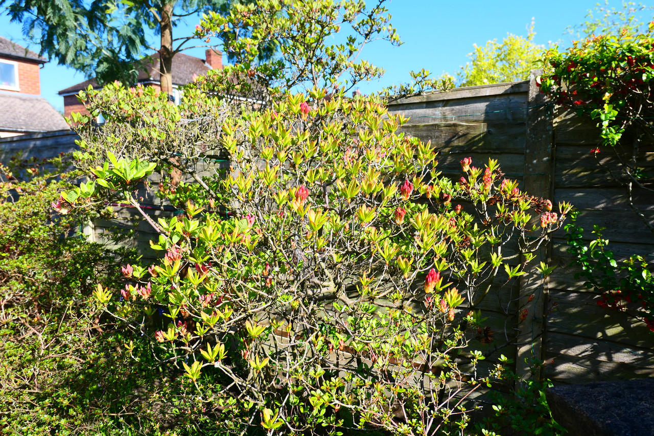 P1040408