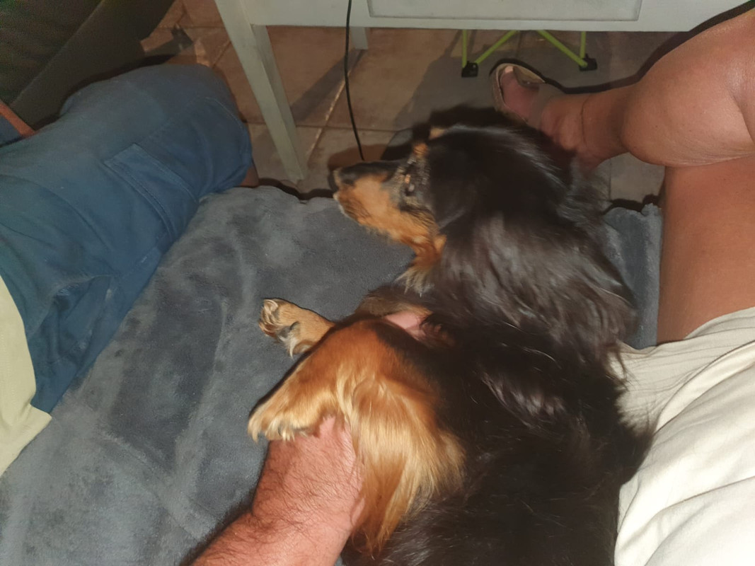 [Image: IMG-20250906-WA0035.jpg]