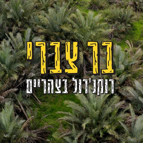 תמונה