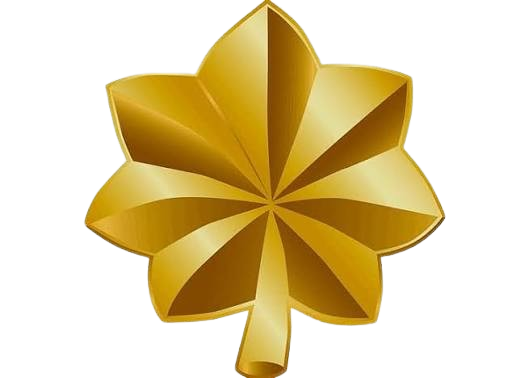 MAJ