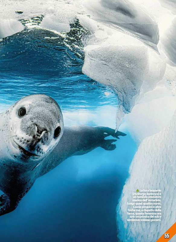 Foc Wil - Mag 2023 (10)