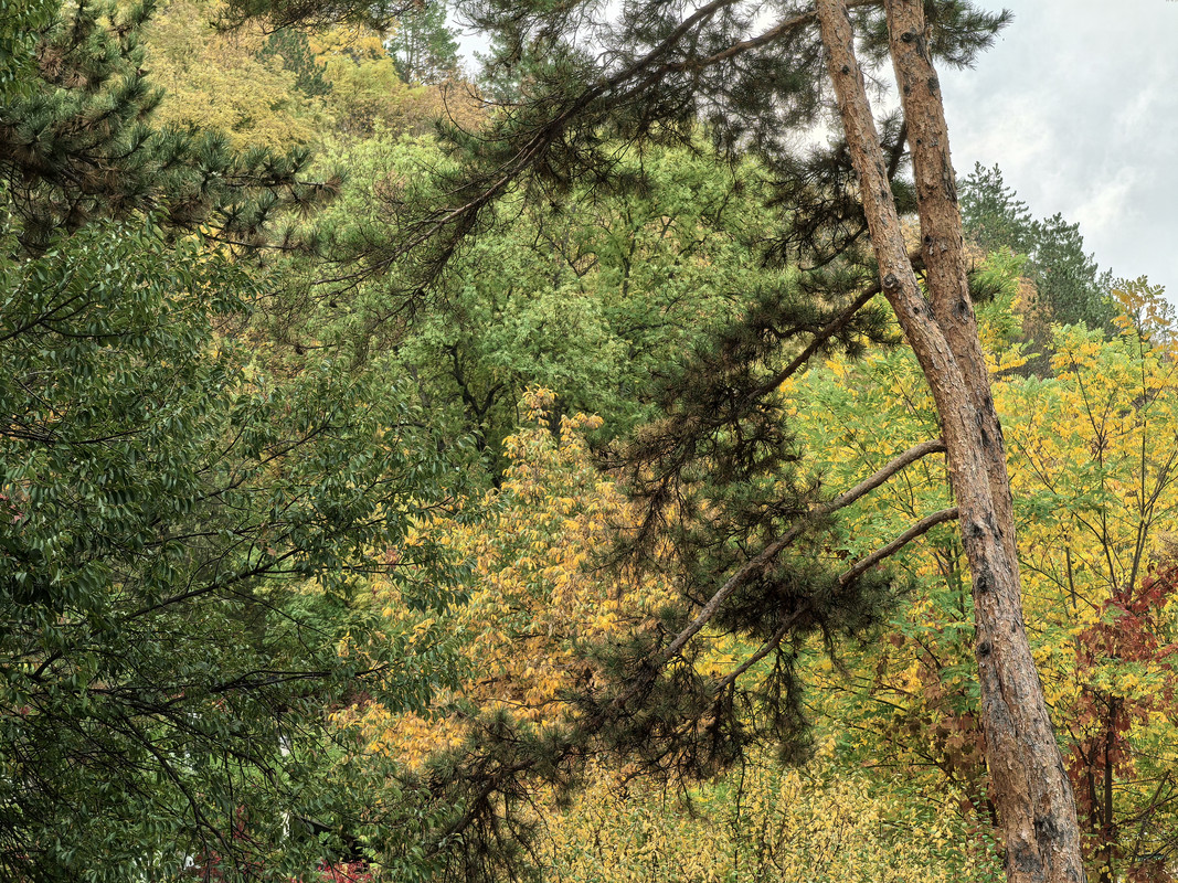 Октябрь уж наступил, 