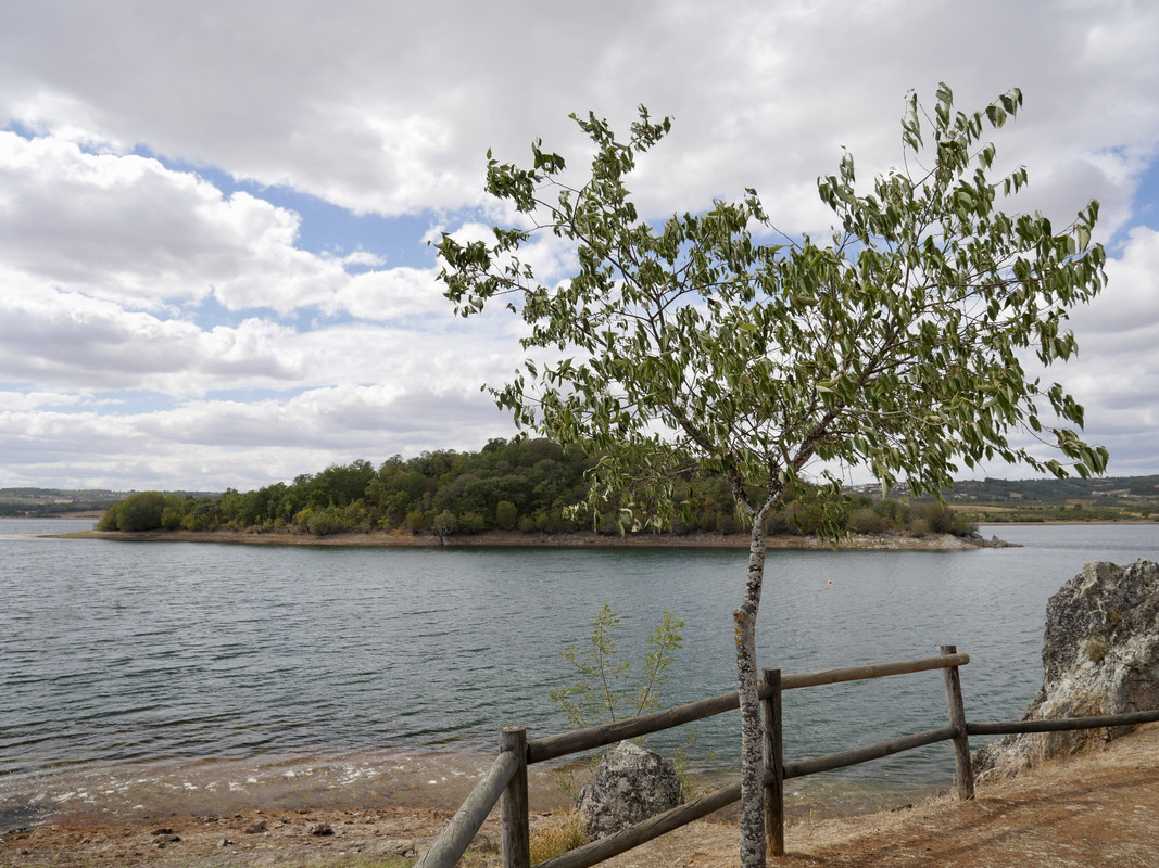 1499A1BC-0D4D-43B6-A392-2E6039B11677