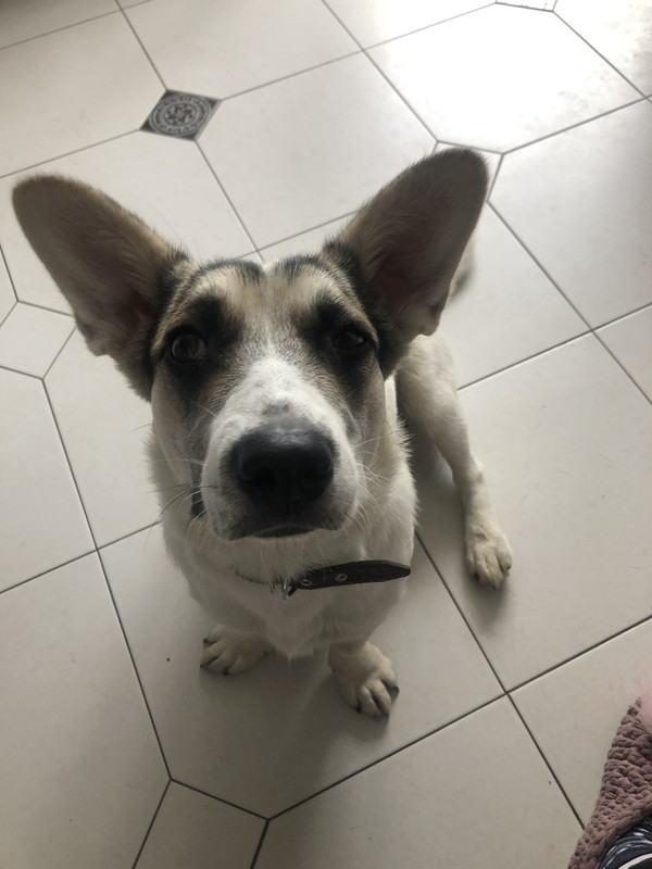 изображение_viber_2022-07-27_12-27-33-437