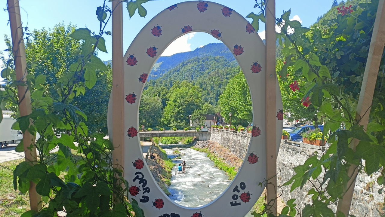 IMG20250712152316 (Large)