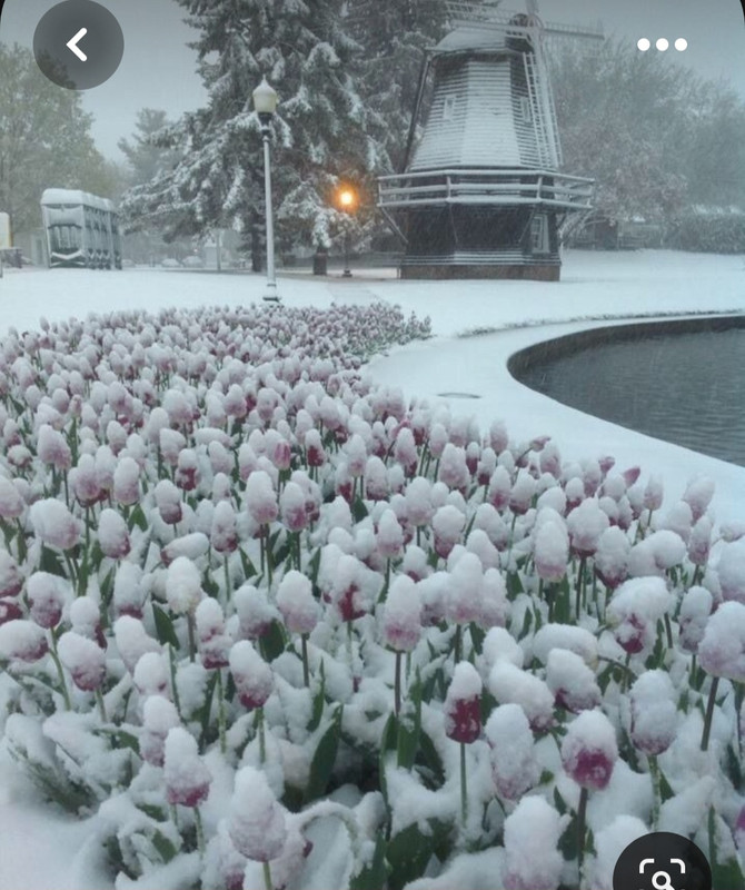 Screenshot_20230326_224145_Pinterest