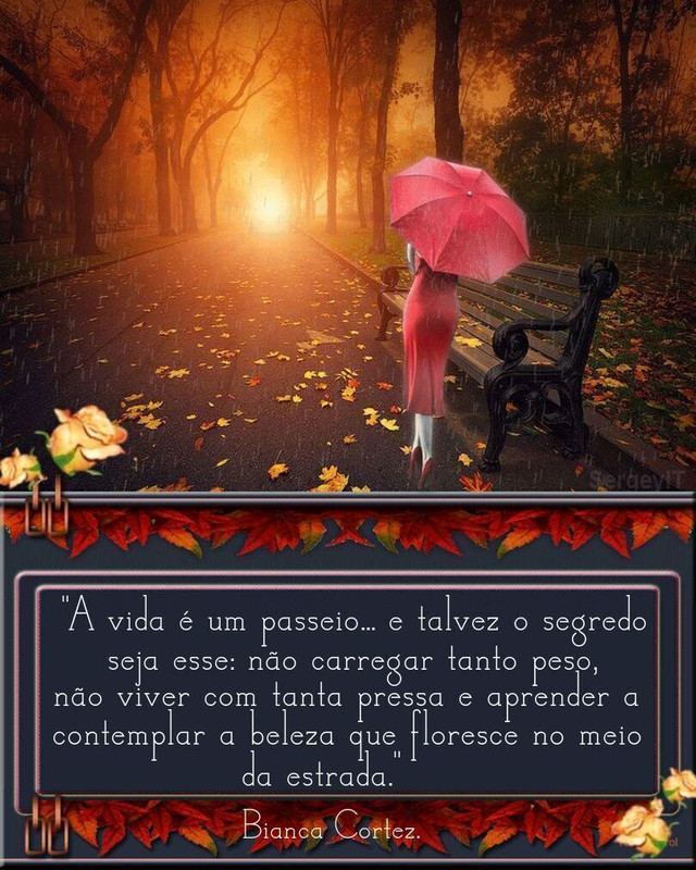 A Vida é um Passeio...