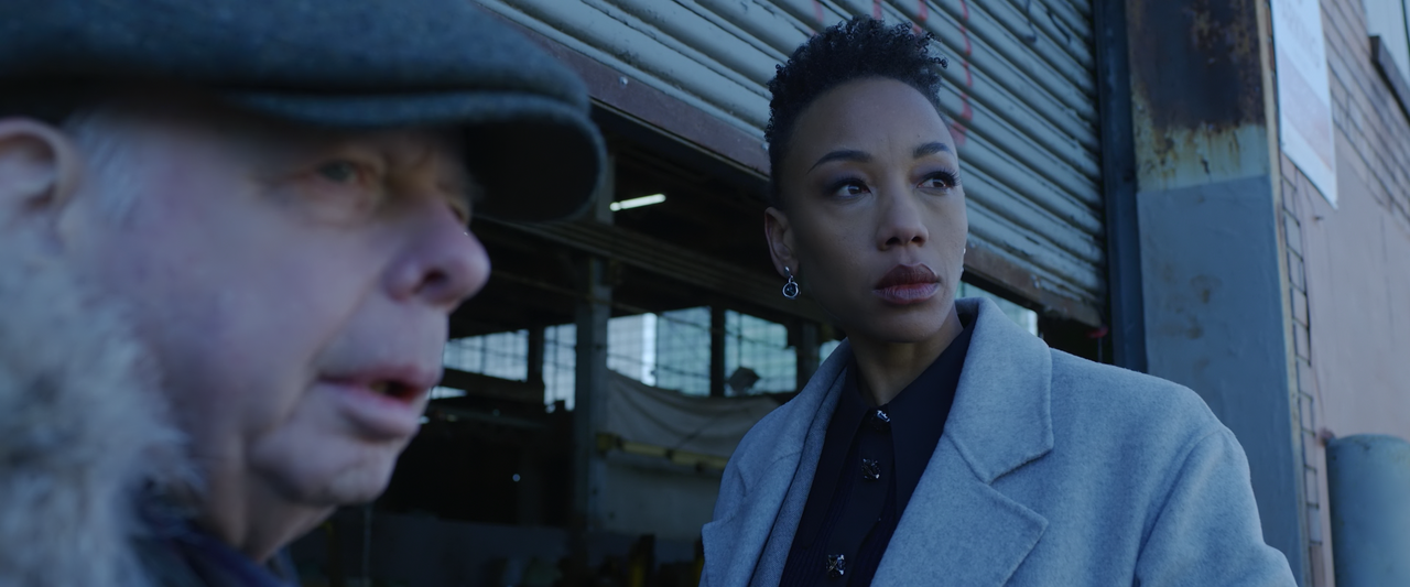 The.Good.Fight.S06E01.The.Beginning.of.the.End.2160p.10bit.PMTP.WEB-DL.DDP5.1.HEVC-Vyndros.mkv_snaps