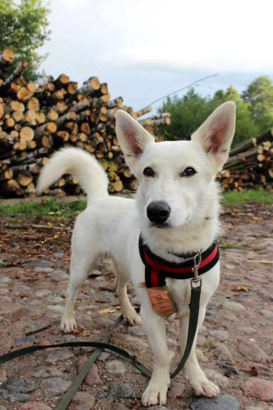 photo_2023-08-10_17-02-36 (3)